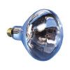 Picture of Heat Lamp 250w Es Hard Glass Heat Lamp