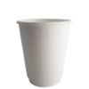 Picture of Paper Double Wall Hot Cup 12oz White (Pack Of 25)