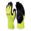 Picture of Venitex Apollon Glove Size 9
