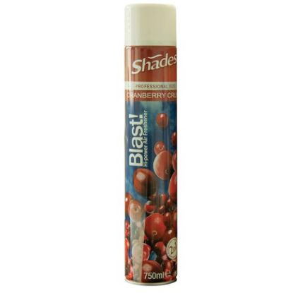 Picture of GIANT AEROSOLS AIR FRESHNER CRANBERRY 750ml **LQ** (SINGLE)