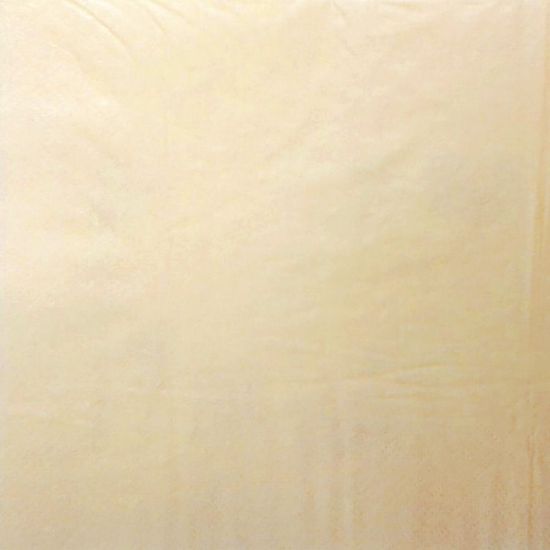 Picture of NAPKIN LUNCH CREAM 2PLY 33cm (PACK OF 125)