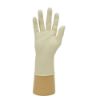 Picture of Jangro Professional Latex Natural Gloves Powder Free Medium (Pack of 100)