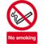 Picture of No Smoking 210x148 S/A