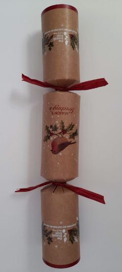 Picture of 2024 Trussell Trust Kraft Robin 12" Christmas Cracker Recycled (50)